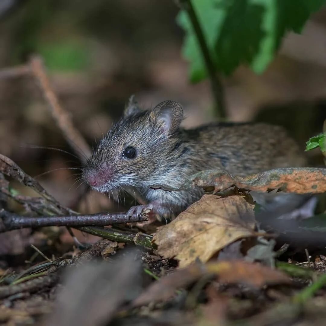 Источник изображения: www.instagram.com