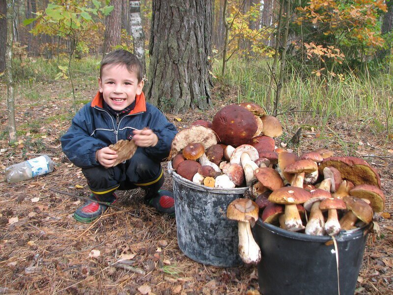 Мы не боремся с осенью :)