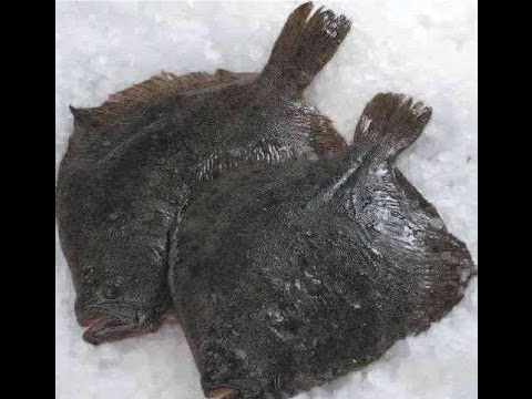 вкуснейшая рыбка - камбала. Фото Яндекс картинки