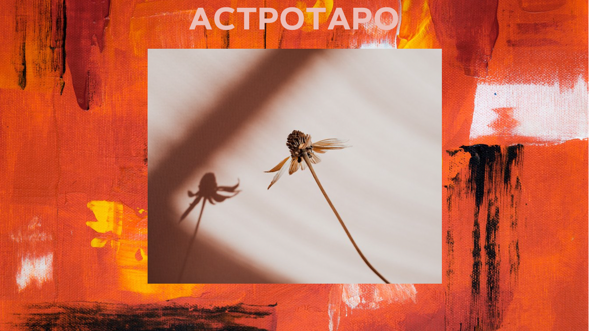 Гороскоп и цветы