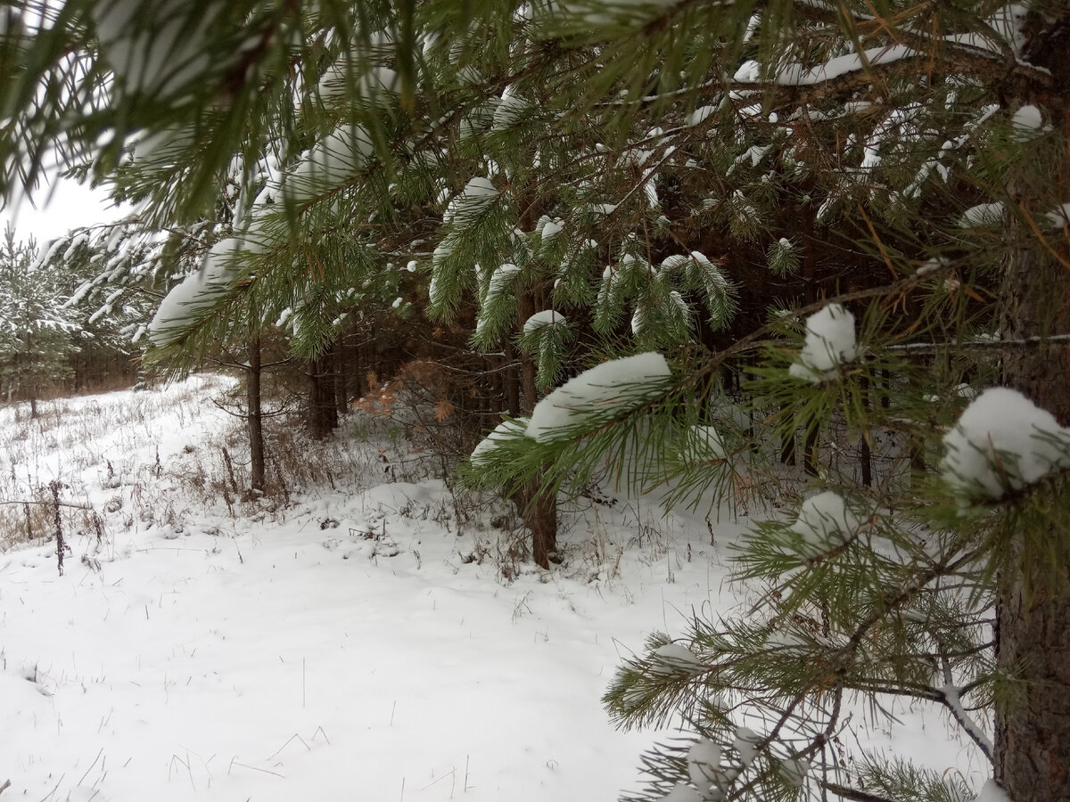 Фото из личного архива автора