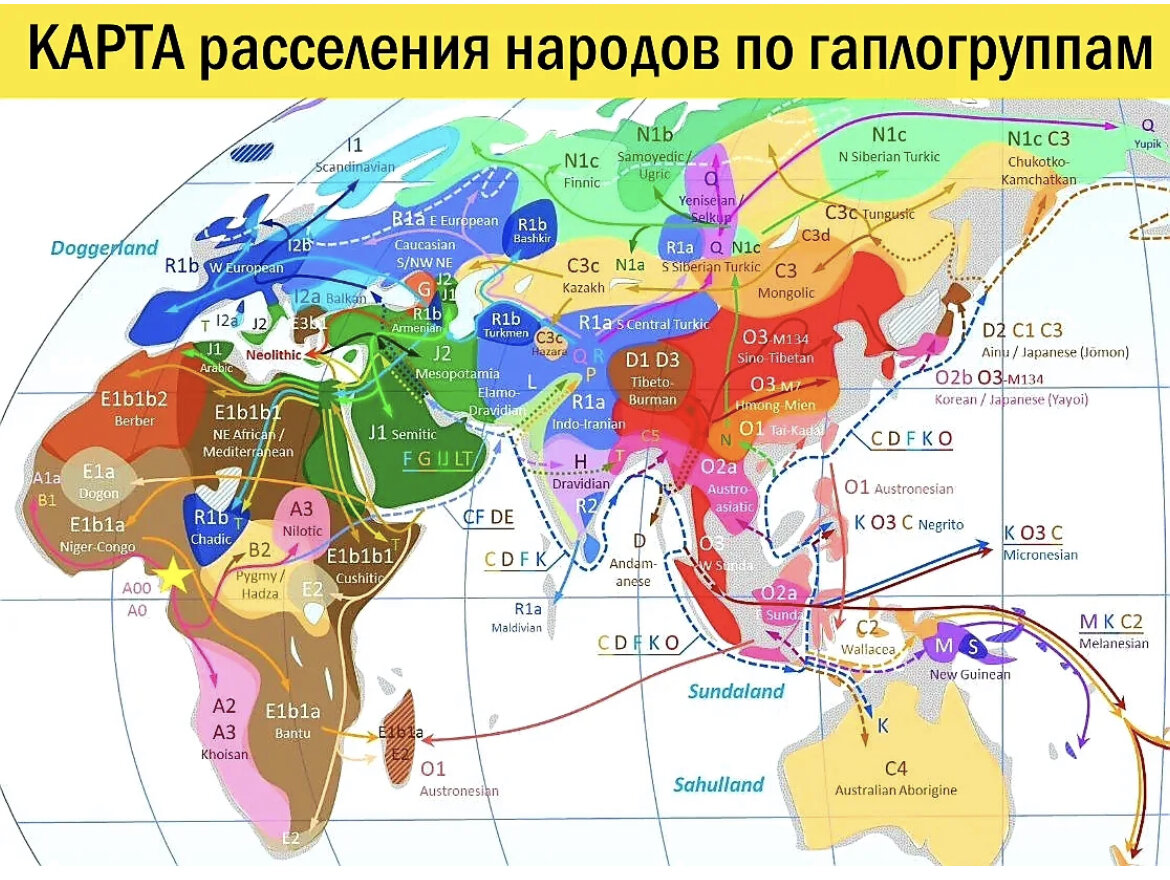 Карта распространения гаплогрупп в мире