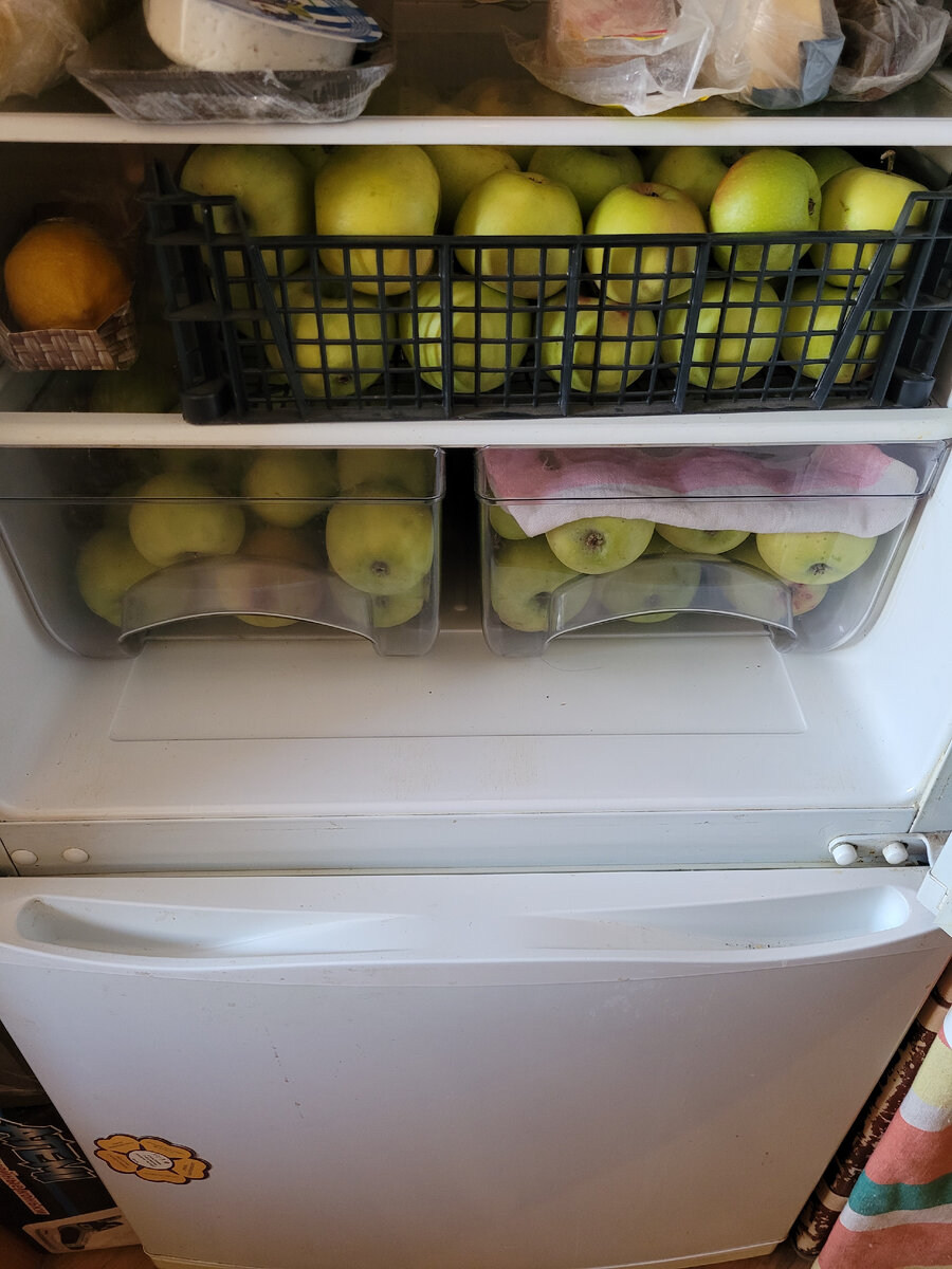 Храню в холодильнике, вкус и упругость сохраняется до июня. Фото автора