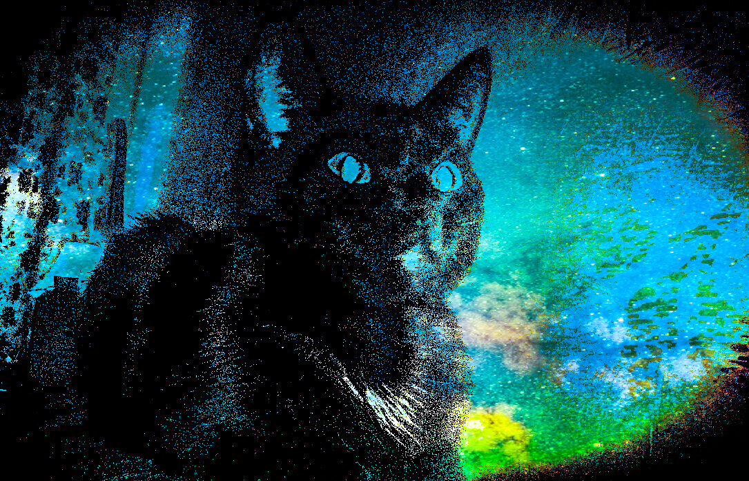 Кошка. Мистическая кошка. Чёрная кошка.  © Copyright LaneStrannik (фото коллаж автора) 