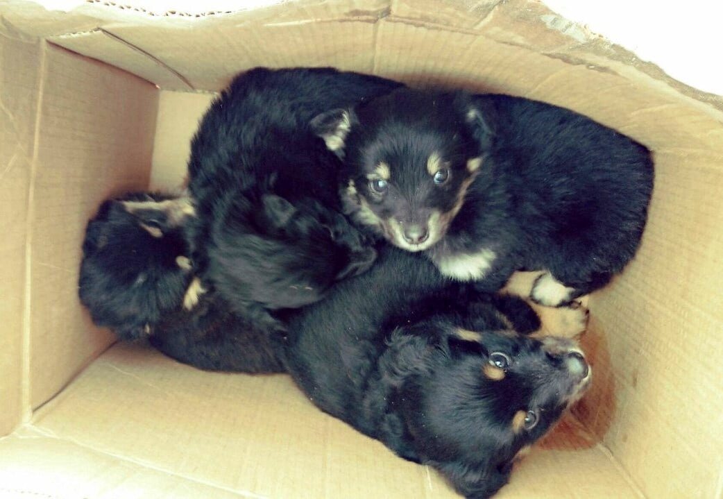 Какими крошками они были!