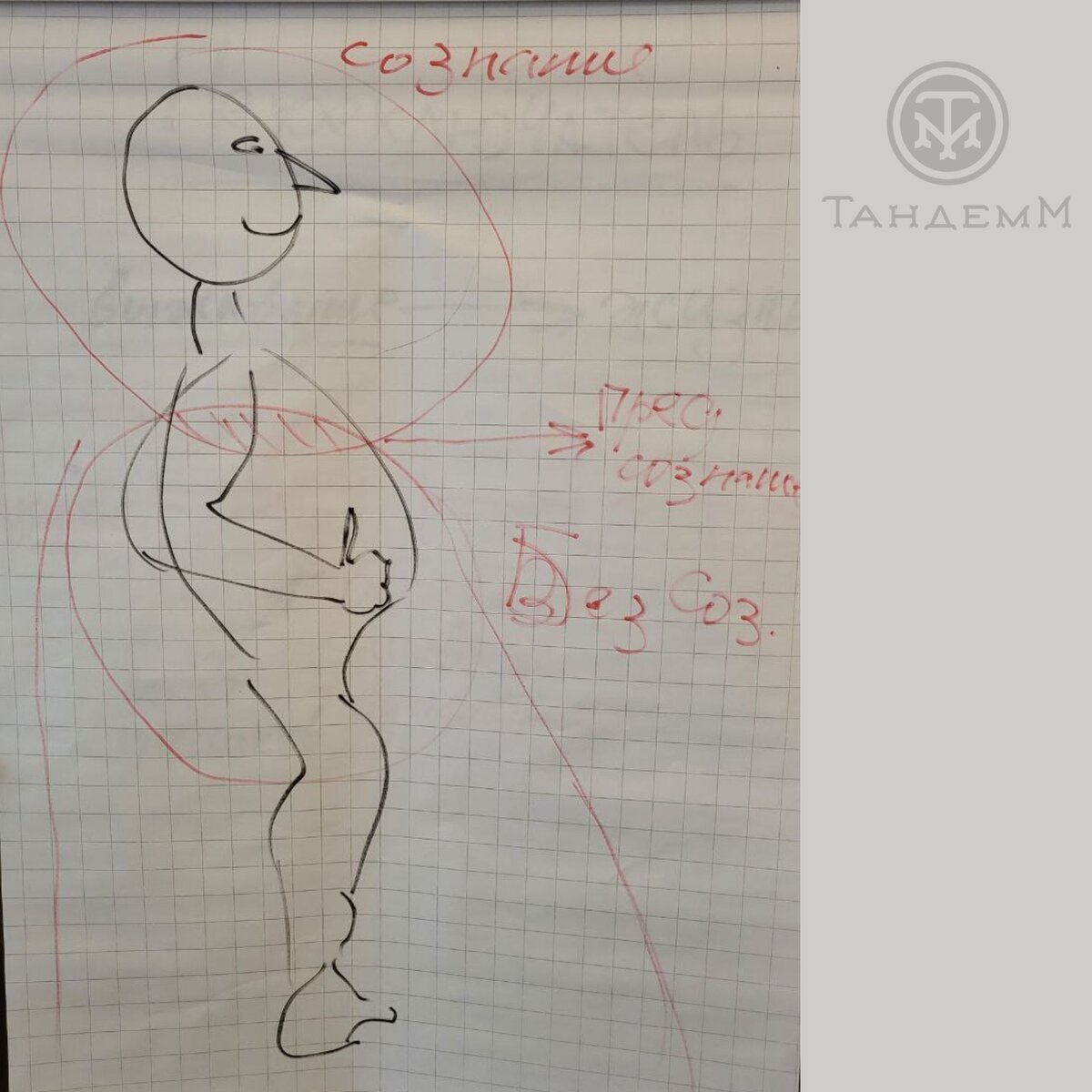 ТандемМ