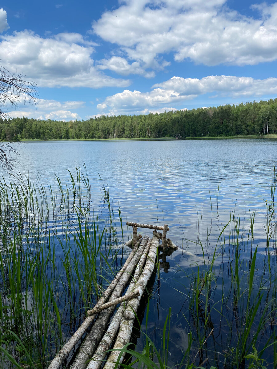 круглое озеро брянск