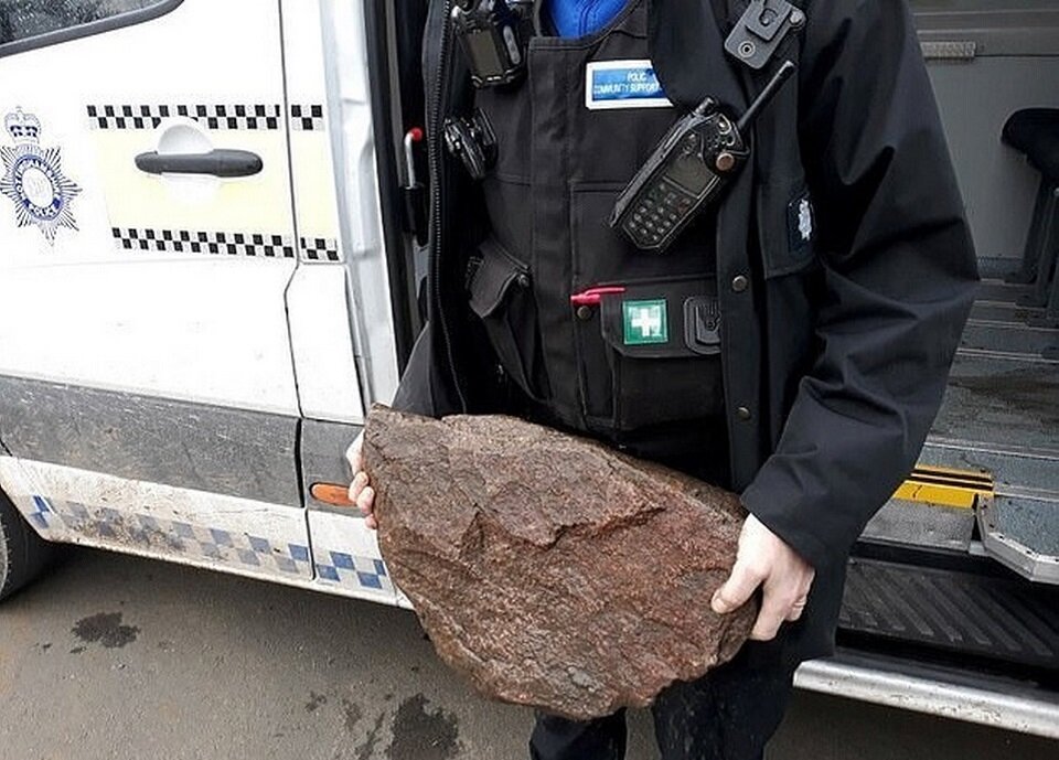 Тот самый булыжник, который был на шее у несчастной собаки