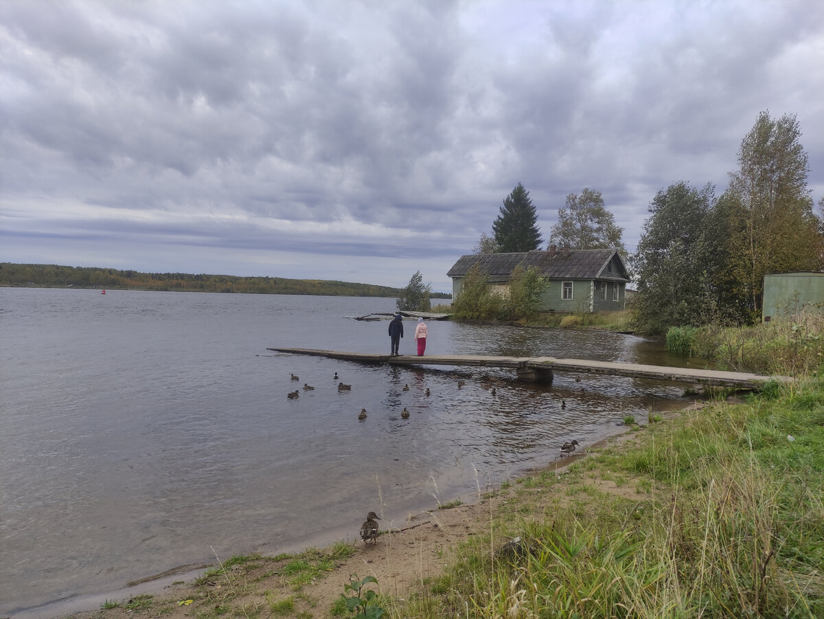 Река Свирь.