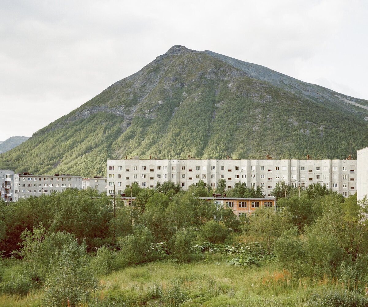     Зарастет народная тропа: посмотрите, как природа вытесняет панельки, — на выставке Arcadia