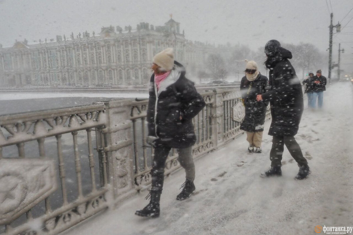 метель в санкт петербурге