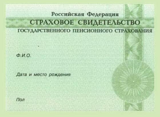 Снилс как получить в москве иностранному гражданину