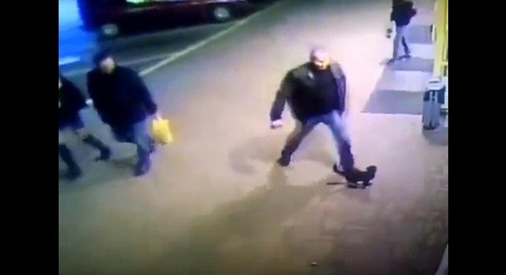 В Белоруссии сотрудника милиции города Полоцк уволили за то, что он пнул котенка.  
Об этом на своей странице «ВКонтакте» сообщает пресс-служба УВД Витебского облисполкома.
«Было установлено, что неблаговидный поступок совершил сотрудник полоцкой милиции. В результате проверки руководством принято решение о его увольнении в связи с совершением проступка, дискредитирующего звание сотрудника органов внутренних дел», — говорится в сообщении. По факту жестокого обращения с животным начали административный процесс.
Видеозапись того, как идущий по улице мужчина пнул котенка, 26 октября опубликовали в сообществе Витебска «ВКонтакте». Пользователи предложили обратиться в милицию, состояние животного неизвестно.
В феврале в Северной Осетии двое мужчин в состоянии алкогольного опьянения сбили котенка автомобилем, а потом вызвали ему скорую помощь. Их доставили в полицию, где мужчины объяснили, что обратились к медикам в шутку. За ложный вызов их оштрафовали.