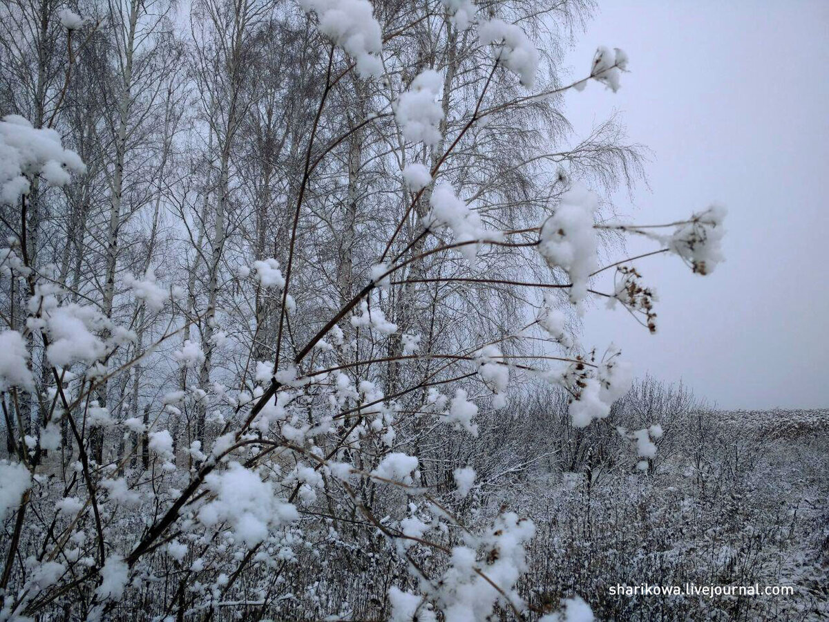 Воздух чистый, аж звенит, пейзажи - для пера Левитана…