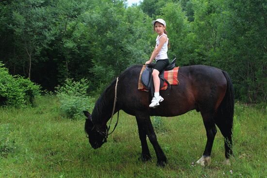 Конные прогулки в Сукко.