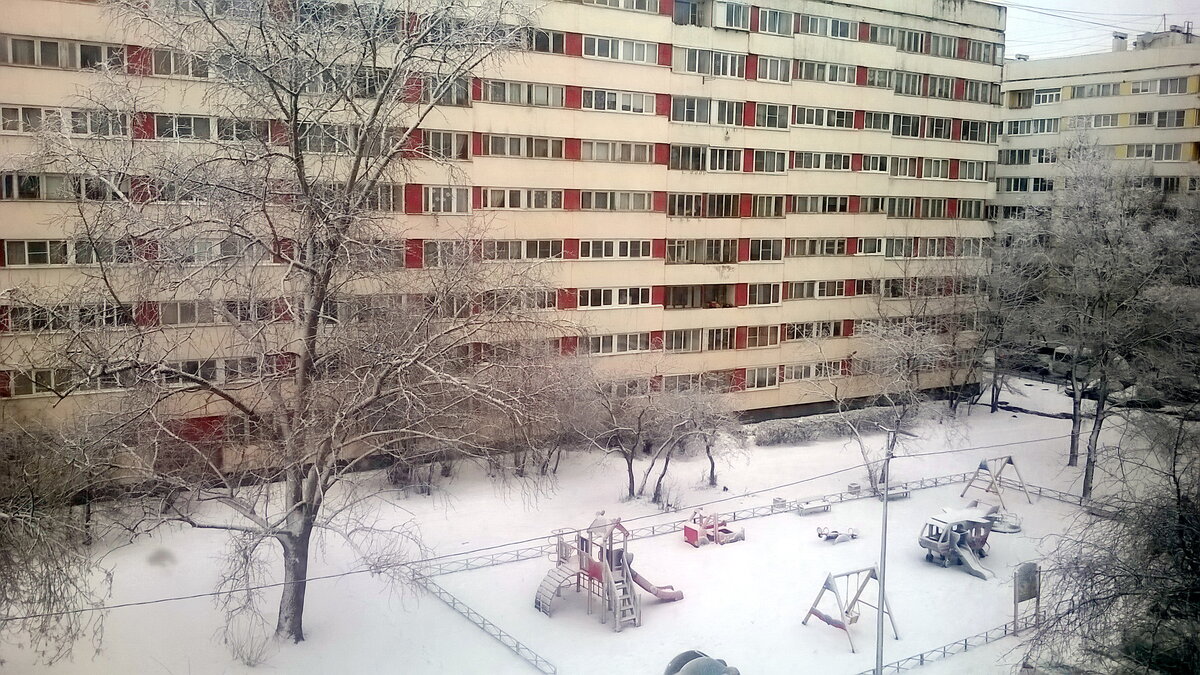 Картина из окна
