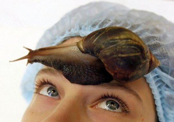 Не всем хватит духу так сделать! А вам ...?