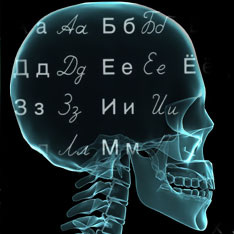 Иллюстрация: http://neurology.com.ua