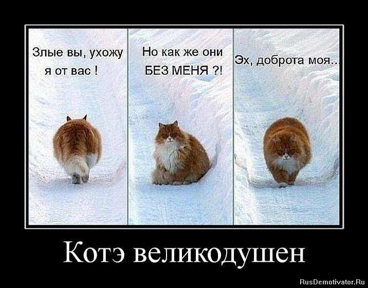 Злые вы уйду я от вас откуда