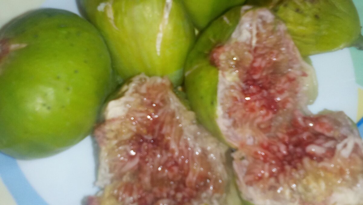 Инжир абхазский ранний. Вкусный и полезный.