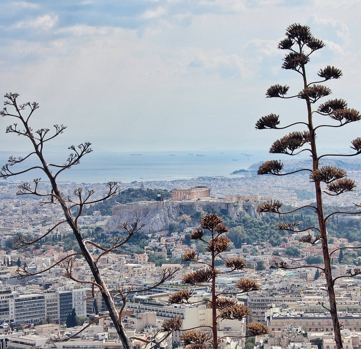 Вид на Афинский Акрополь с холма