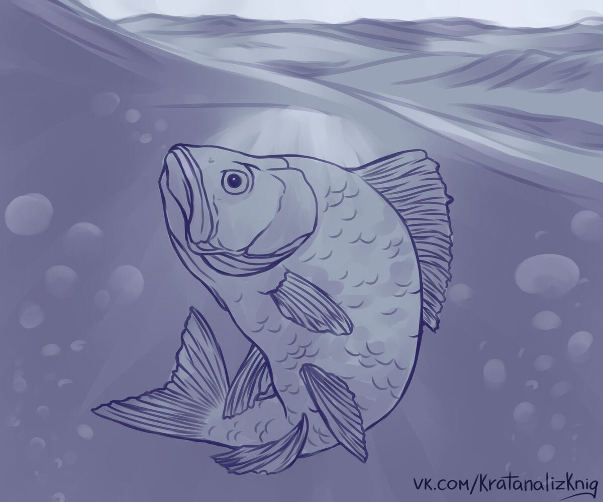 Наш Карась-идеалист