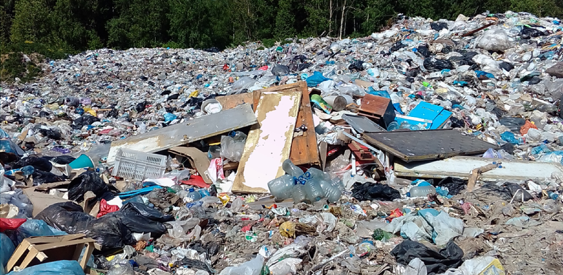  Фото: Череповецкая межрайонная природоохранная прокуратура