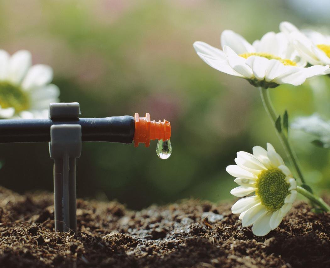  Во многих статьях уже писалось о преимуществах капельного полива садовых растений. При таком способе растениям обеспечен постоянный приток питательных веществ.
