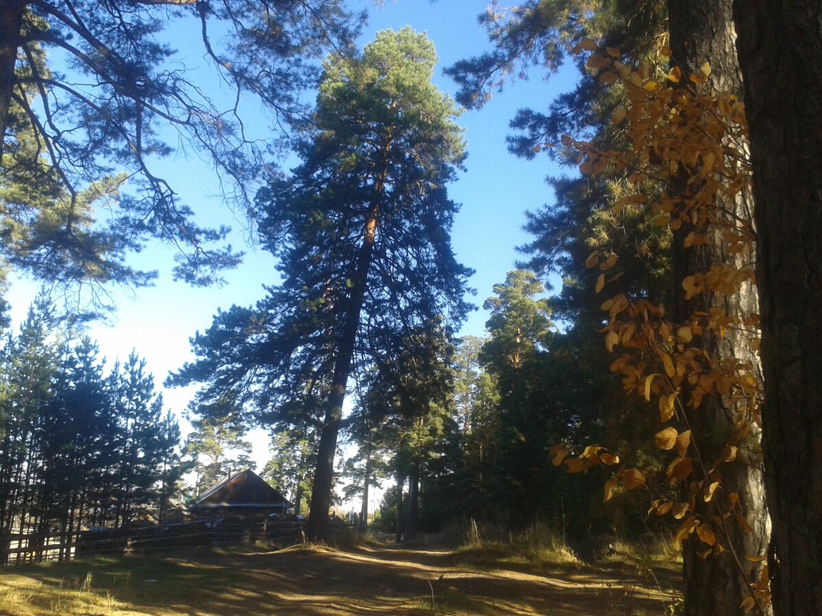 Дома крестьянские.