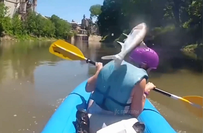 скриншот из видео