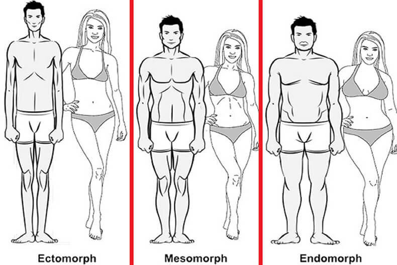Существует 3 типа телосложения людей: эктоморфы, мезоморфы и эндоморфы. Эктоморфы - люди с быстрым обменом веществ. Мезоморфы - люди со средним обменом веществ.-2