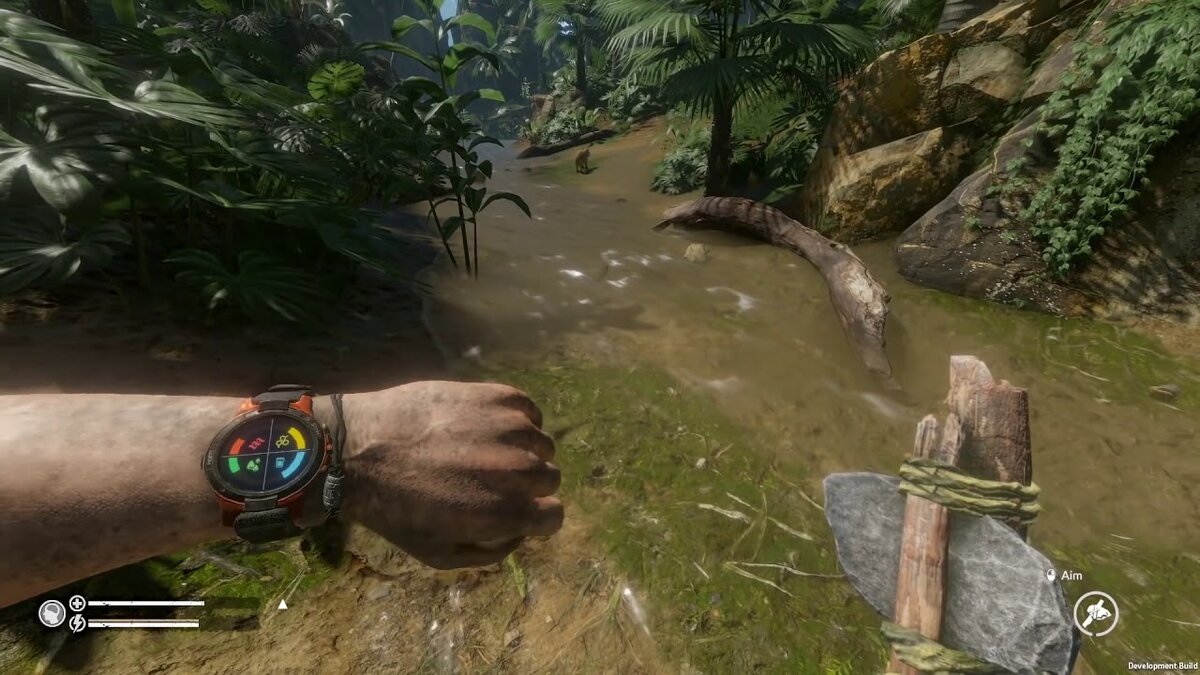 Игра не зря носит такое название, Вы попадаете в буквальном смысле в непроходимые леса Амазонки, чтобы выжить нужно научиться хорошо ориентироваться на местности и добывать себе припасы, еду. Периодически по рации раздается дорогой для Вас голос, который не даёт Вам сдаться и придаёт дополнительных сил!  