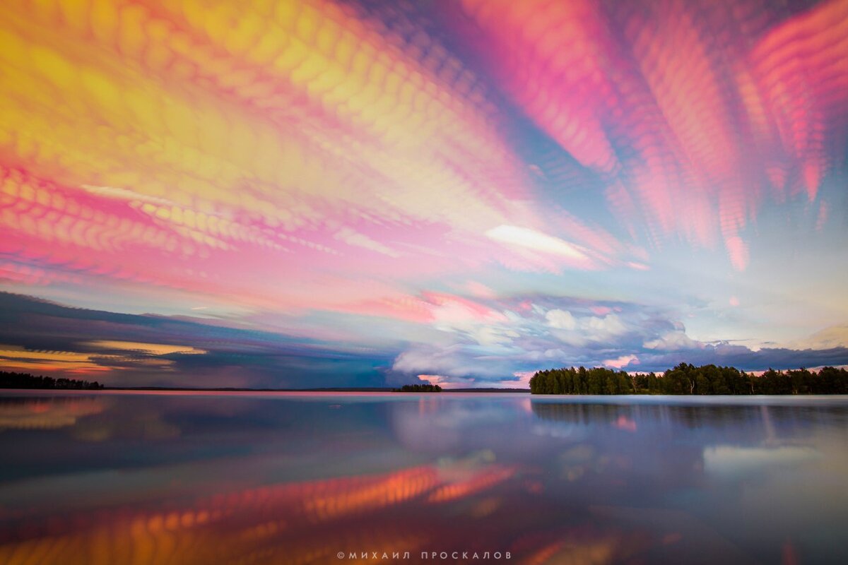 Фото Михаила Проскалова