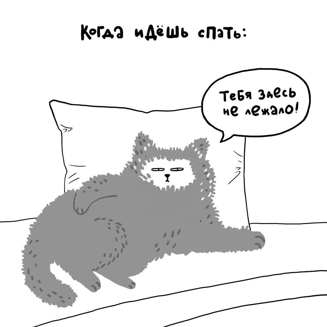 Котик идет спать