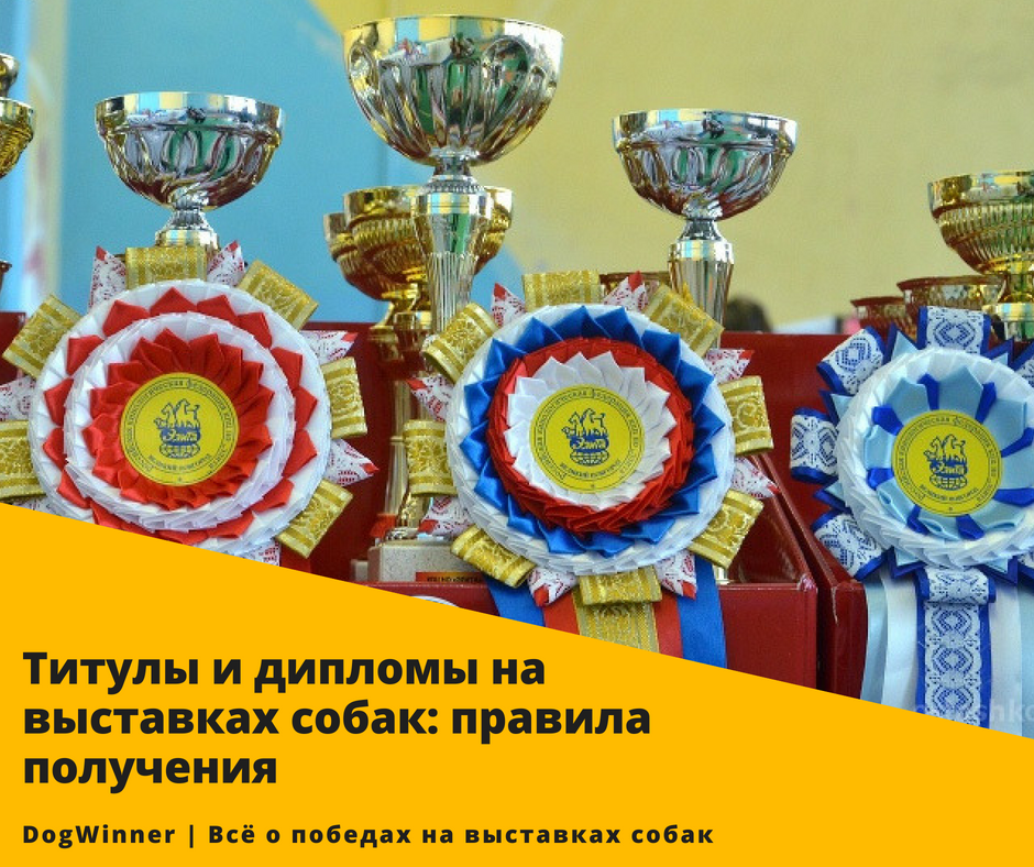 Фото из открытых источников сети Интернет
