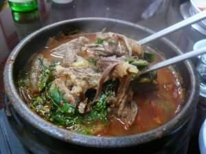 Лучший друг человека