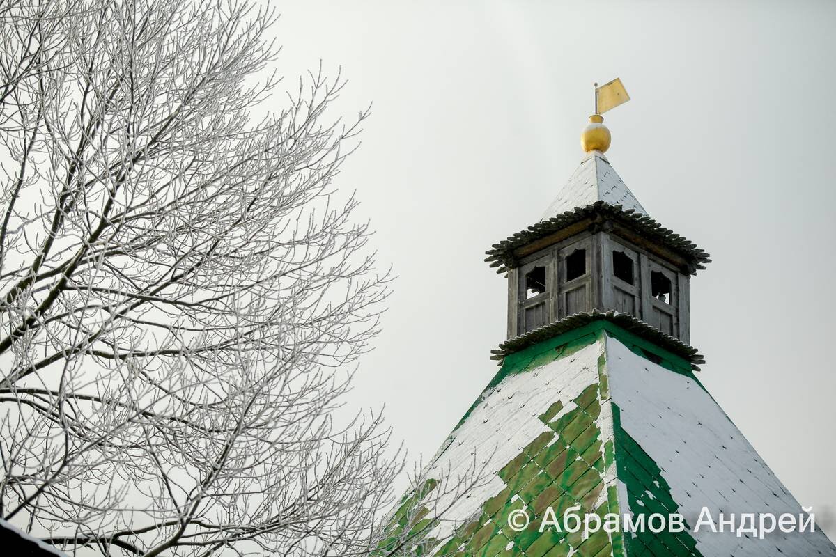 Фото: Андрей Абрамов