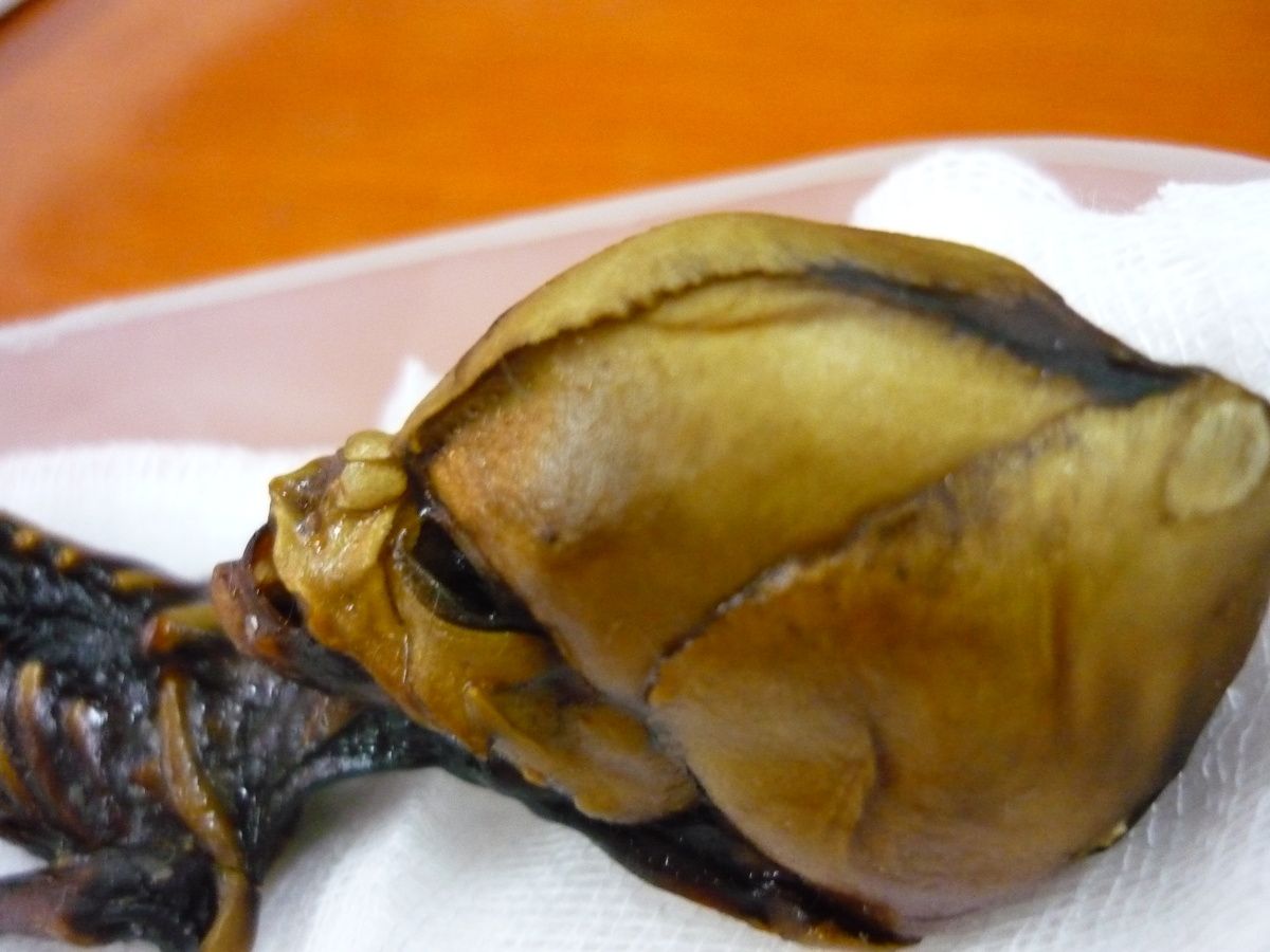 Фото: Dr. Emery Smith