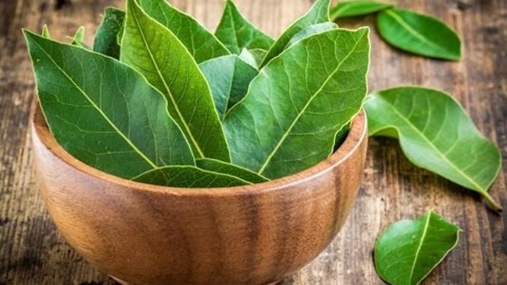 Фото взято на https://yandex.ua