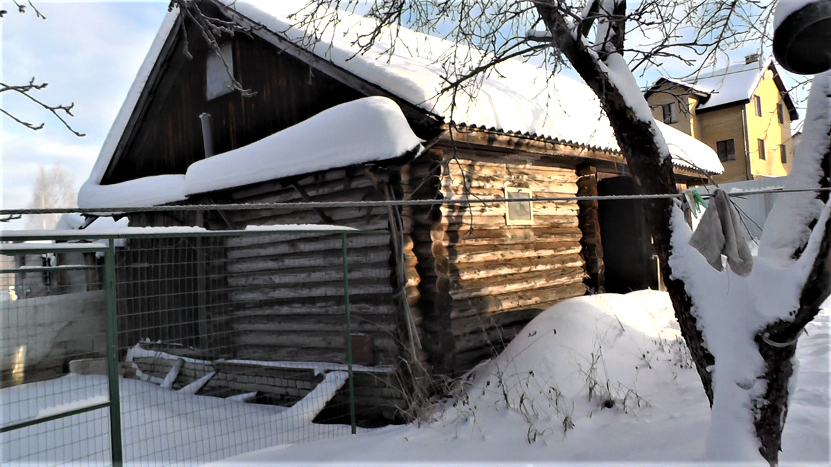 конец января. курятник. фото автора канала В. Н.  Воронова 