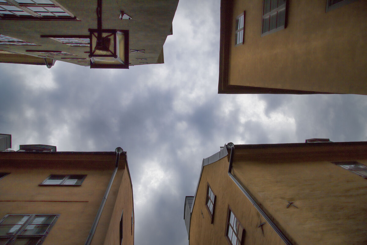 Внешне Vito от V class сложно отличить, особенно, если у тебя, как у нас комплектация с диодными фарами, двумя открывающимися по бокам сдвижными дверьми с электроприводами, но различия есть.  Немного другой передний бампер, дизайн и размер колёсных дисков, но самое главное- это интерьер Vito. Он гораздо проще Виано во всем: материалах, отделке, дизайну, но зато эта простота существенно в положительную сторону  влияет на цену.