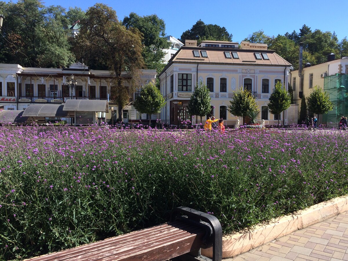Решено было проложить наш маршрут через Курортный бульвар.
