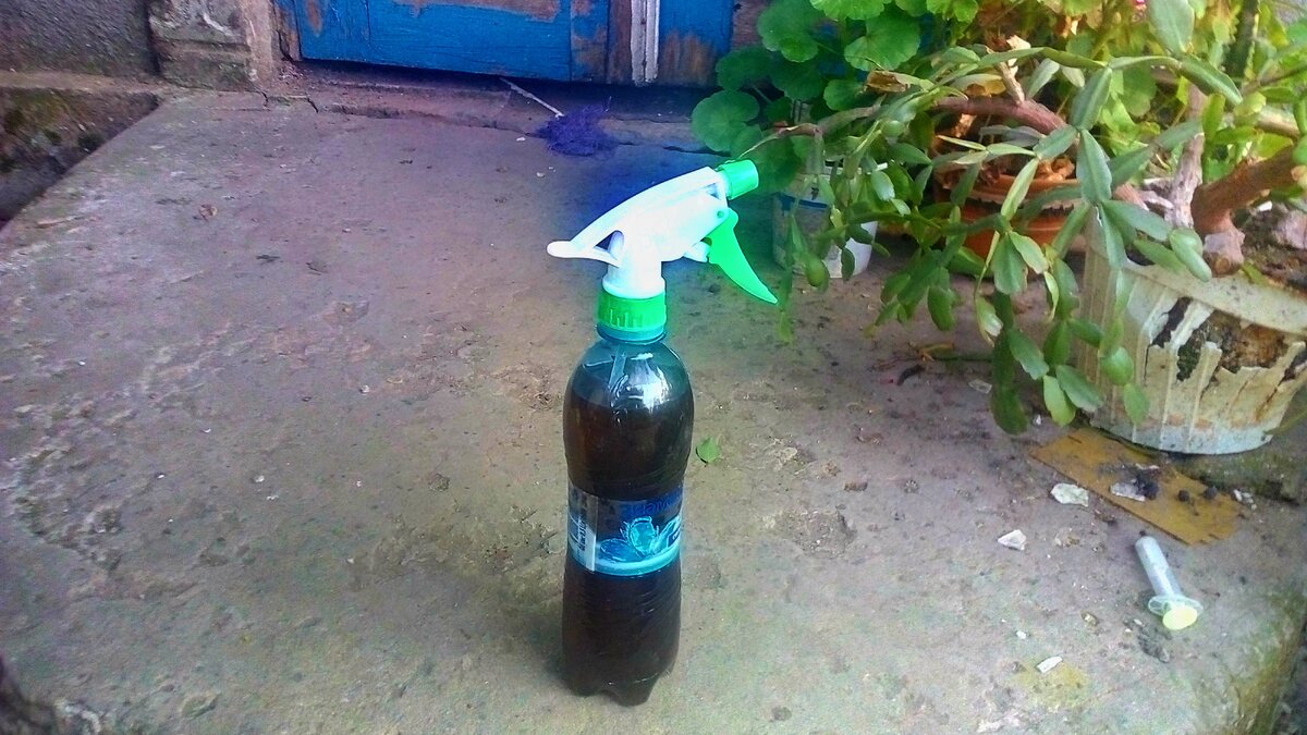 Вот такой штукой очень удобно опрыскивать рассаду, а бутылочку можно взять как литровую так и 0.5л