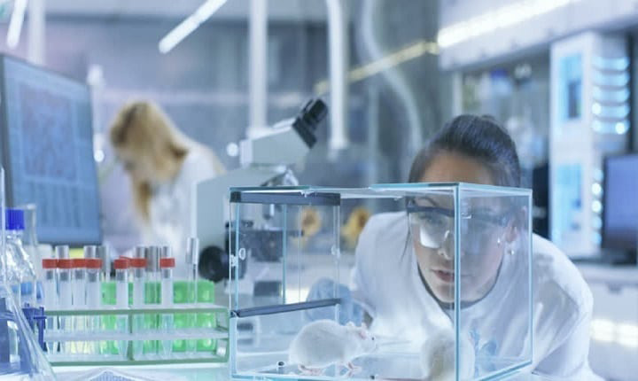 Мыши видели в инфракрасном диапазоне около 10 недель