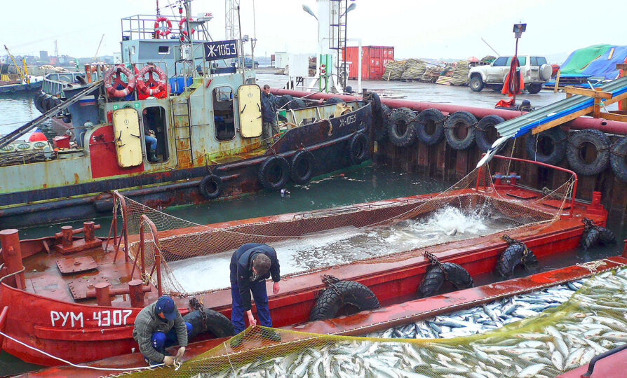 Вакансии камчатский. Затонувший буксир. Мусоросборщик на воде. Мусоросборщик катамаран. Мусоросборщик Севастополь.