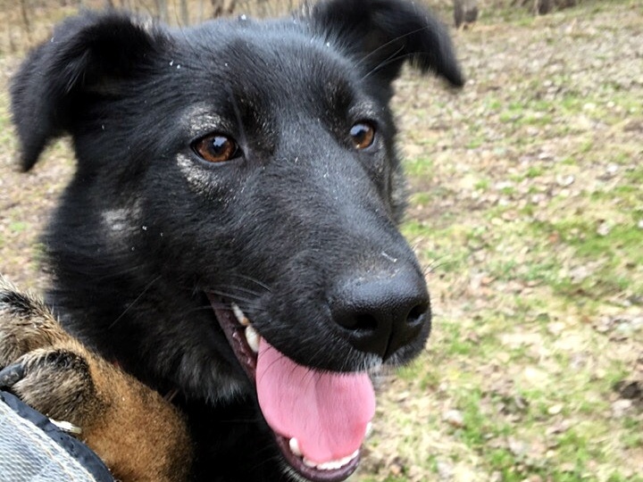 Раненое детство