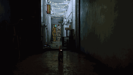 Очень атмосферный город. И очень атмосферный котик...