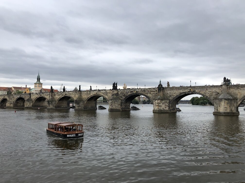 © Самыгина Жюли
