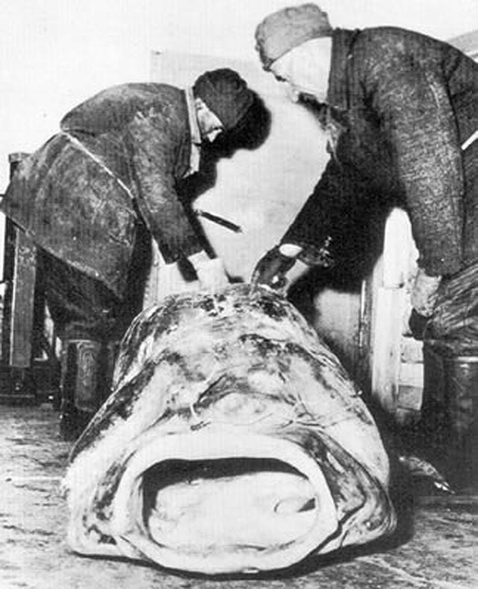 Источник Яндекс Картинки