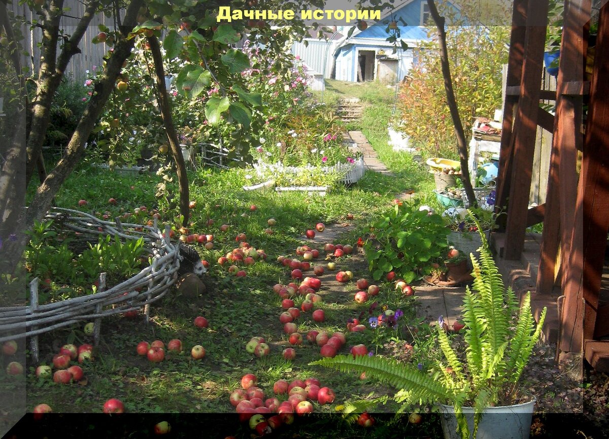 https://vk.com/photo-159774511_457243400